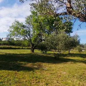 S&m , Sveti Filip i Jakov Chorwacja